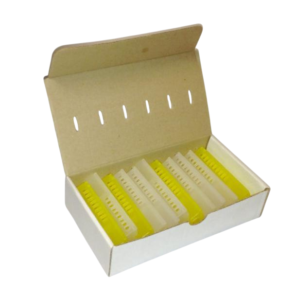 Vista interna scatoletta per spedizione 12 regine con separatori