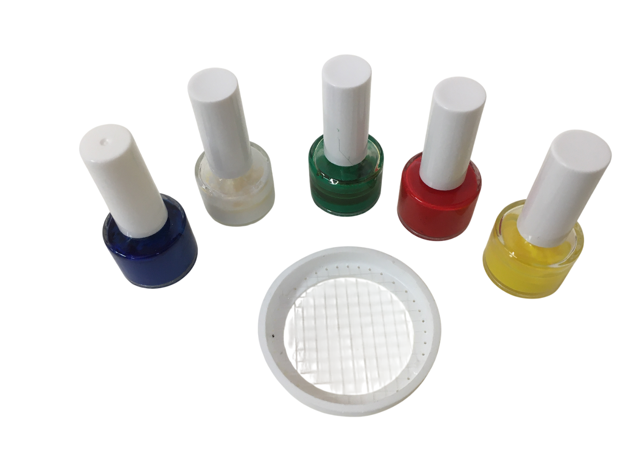 Set per marcatura regina con ferma regina e smalti in cinque colori