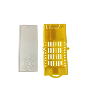 Gabbietta a doppia uscita per trasporto ape regina