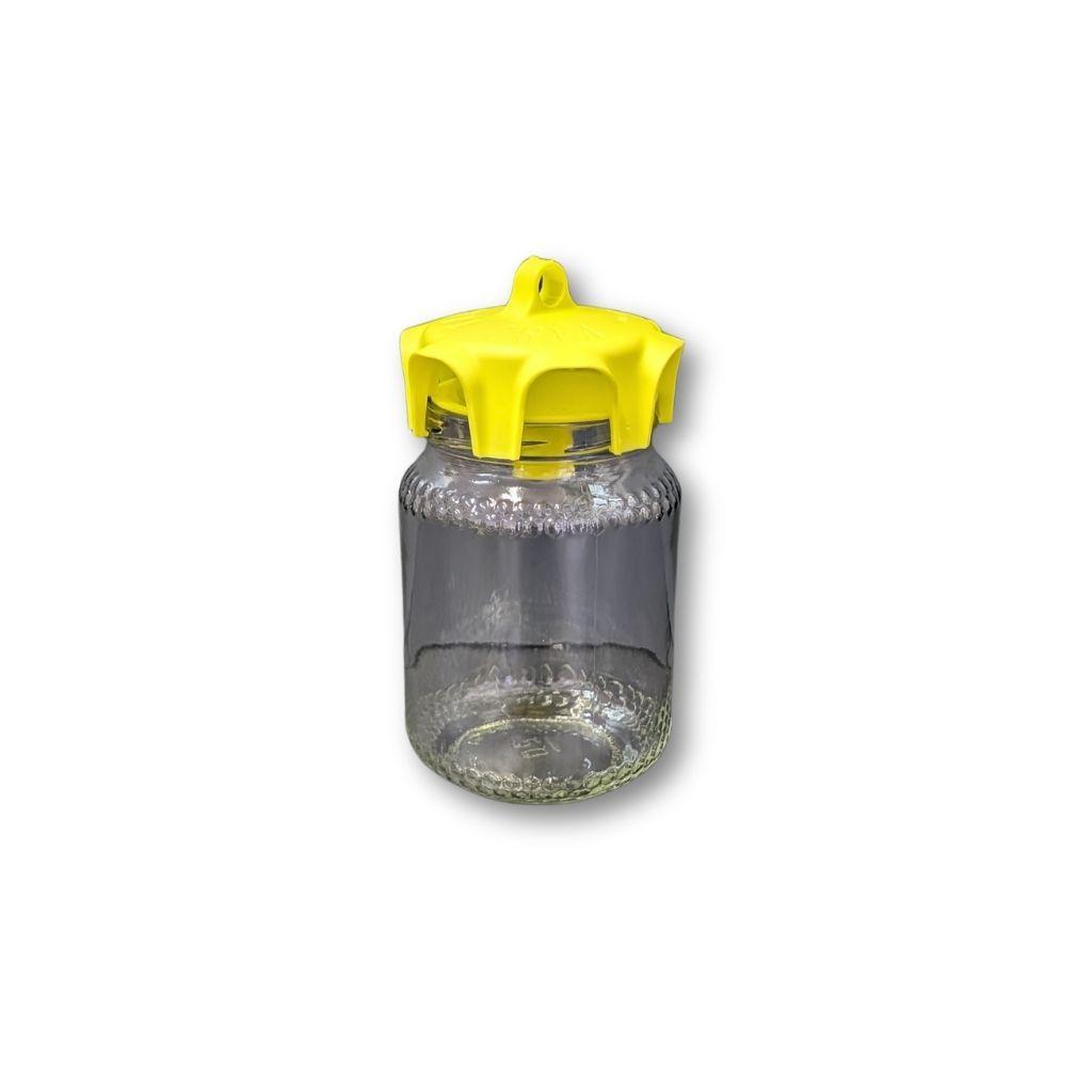 Singola trappola cromotropica assemblata, vaso in vetro e coperchio giallo